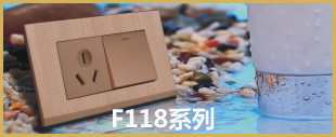 金色面板開(kāi)關(guān)F118系列